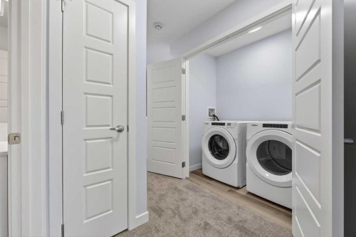 107-1750 Rangeview Drive Se, Calgary, AB - Indoor Photo Showing Laundry Room