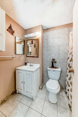 2319 56 Street Ne, Calgary, AB - Indoor Photo Showing Bathroom