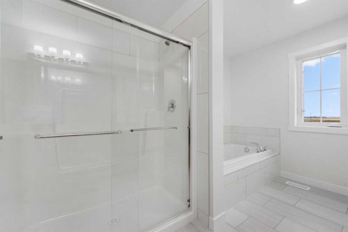 142 Sunstone Way, Balzac, AB - Indoor Photo Showing Bathroom