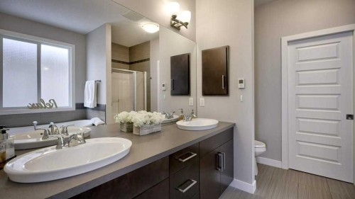 269 Boulder Creek Drive Se, Langdon, AB - Indoor Photo Showing Bathroom