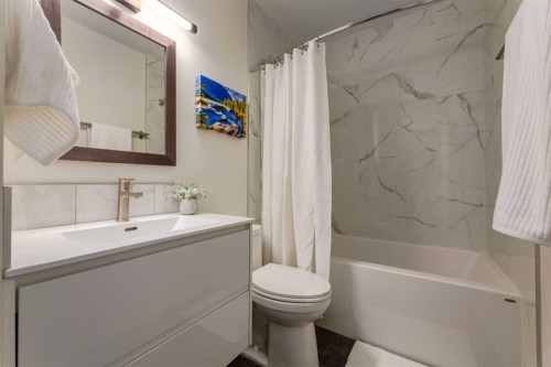 126 Winston Drive Sw, Calgary, AB - Indoor Photo Showing Bathroom