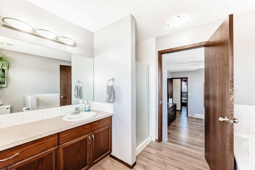 283 Highland Circle, Strathmore, AB - Indoor Photo Showing Bathroom