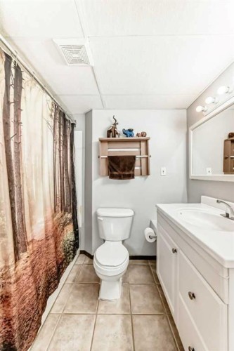 283 Highland Circle, Strathmore, AB - Indoor Photo Showing Bathroom