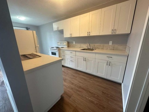 6323 59 Avenue, Red Deer, AB - Indoor Photo Showing Kitchen