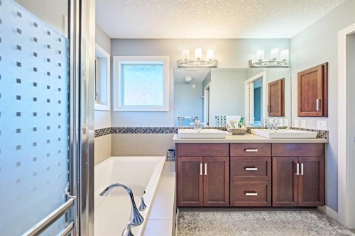 108 Walden Rise Se, Calgary, AB - Indoor Photo Showing Bathroom