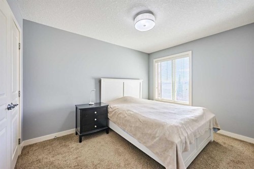 108 Walden Rise Se, Calgary, AB - Indoor Photo Showing Bedroom