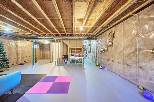 108 Walden Rise Se, Calgary, AB - Indoor Photo Showing Basement