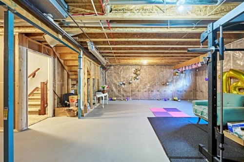 108 Walden Rise Se, Calgary, AB - Indoor Photo Showing Basement
