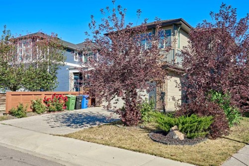 108 Walden Rise Se, Calgary, AB - Outdoor