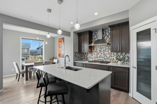 58 Howse Mount Ne, Calgary, AB - Indoor Photo Showing Kitchen With Double Sink With Upgraded Kitchen