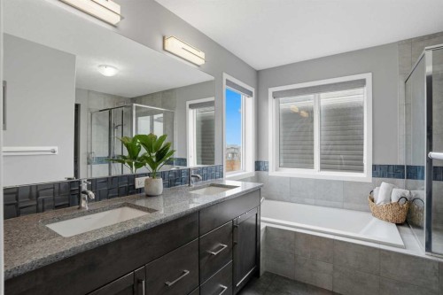 58 Howse Mount Ne, Calgary, AB - Indoor Photo Showing Bathroom