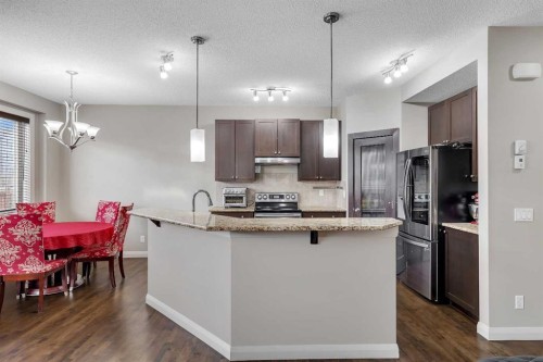 1564 Copperfield Boulevard Se, Calgary, AB - Indoor Photo Showing Kitchen With Upgraded Kitchen