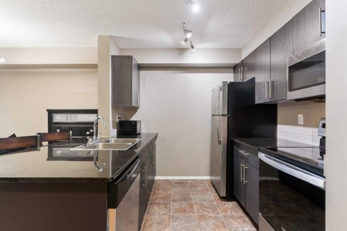 203-5 Saddlestone Way Ne, Calgary, AB - Indoor Photo Showing Kitchen With Double Sink