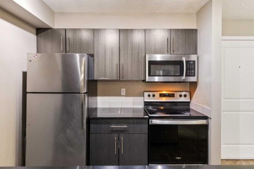 203-5 Saddlestone Way Ne, Calgary, AB - Indoor Photo Showing Kitchen