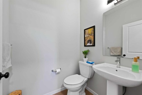 149 Dawson Circle, Chestermere, AB - Indoor Photo Showing Bathroom