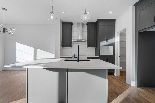 95 Dawson Wharf Mount, Chestermere, AB - Indoor Photo Showing Kitchen With Upgraded Kitchen