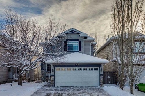 219 Chapalina Place Se, Calgary, AB - Outdoor