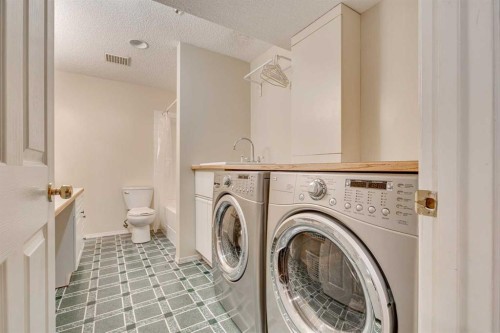 219 Chapalina Place Se, Calgary, AB - Indoor Photo Showing Laundry Room