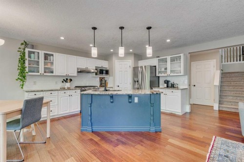 219 Chapalina Place Se, Calgary, AB - Indoor Photo Showing Kitchen With Upgraded Kitchen