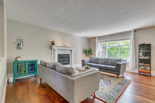 219 Chapalina Place Se, Calgary, AB - Indoor Photo Showing Living Room With Fireplace