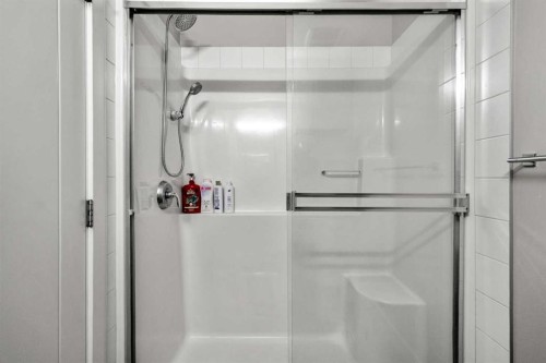 51 Redstone Circle Ne, Calgary, AB - Indoor Photo Showing Bathroom