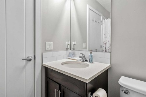 51 Redstone Circle Ne, Calgary, AB - Indoor Photo Showing Bathroom