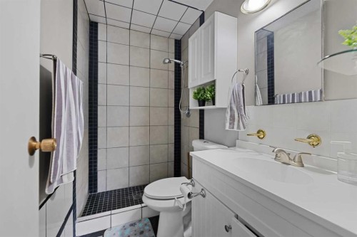 892 Abbotsford Drive Ne, Calgary, AB - Indoor Photo Showing Bathroom