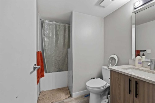 892 Abbotsford Drive Ne, Calgary, AB - Indoor Photo Showing Bathroom