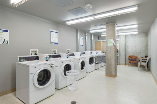 105-100 Cranfield Common Se, Calgary, AB - Indoor Photo Showing Laundry Room