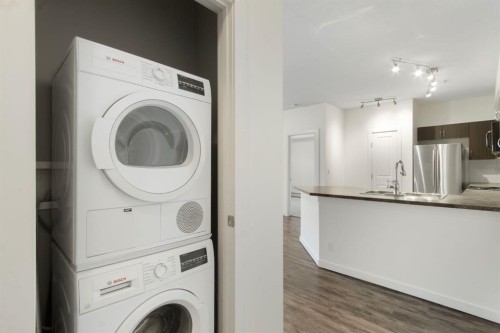 105-100 Cranfield Common Se, Calgary, AB - Indoor Photo Showing Laundry Room
