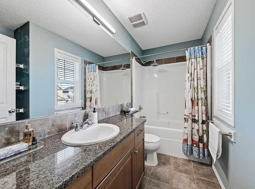 788 New Brighton Drive Se, Calgary, AB - Indoor Photo Showing Bathroom