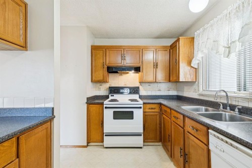 4104 13 Avenue Ne, Calgary, AB - Indoor Photo Showing Kitchen With Double Sink