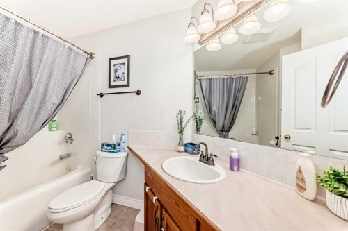 6216 Douglas Place, Olds, AB - Indoor Photo Showing Bathroom