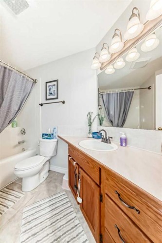 6216 Douglas Place, Olds, AB - Indoor Photo Showing Bathroom