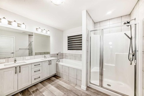 165 Savanna Passage Ne, Calgary, AB - Indoor Photo Showing Bathroom