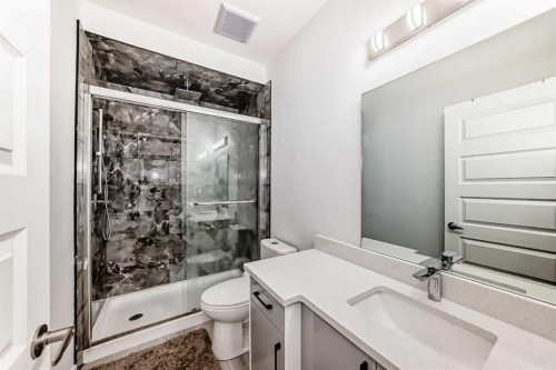 165 Savanna Passage Ne, Calgary, AB - Indoor Photo Showing Bathroom