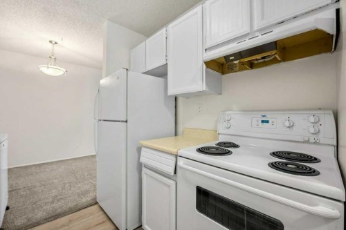 307-816 89 Avenue Sw, Calgary, AB - Indoor Photo Showing Kitchen