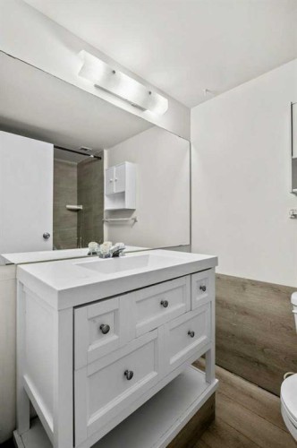 307-816 89 Avenue Sw, Calgary, AB - Indoor Photo Showing Bathroom