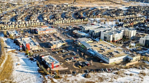 90 Walden Crescent Se, Calgary, AB - Outdoor With View