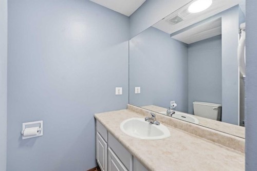 1429 Big Springs Way Se, Airdrie, AB - Indoor Photo Showing Bathroom