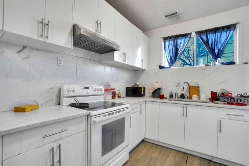 1134 Martindale Boulevard Ne, Calgary, AB - Indoor Photo Showing Kitchen