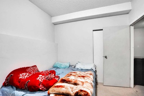 1134 Martindale Boulevard Ne, Calgary, AB - Indoor Photo Showing Bedroom