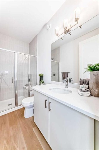 44 Creekside Path Sw, Calgary, AB - Indoor Photo Showing Bathroom
