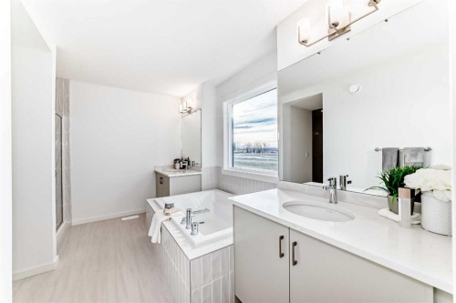 44 Creekside Path Sw, Calgary, AB - Indoor Photo Showing Bathroom