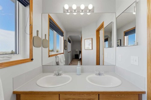 175 Macewan Park Circle Nw, Calgary, AB - Indoor Photo Showing Bathroom