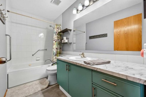 1336 Meadowbrook Drive Se, Airdrie, AB - Indoor Photo Showing Bathroom
