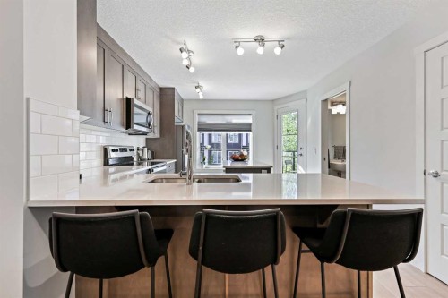 107-474 Seton Circle Se, Calgary, AB - Indoor Photo Showing Kitchen With Double Sink