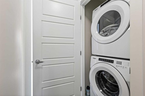 107-474 Seton Circle Se, Calgary, AB - Indoor Photo Showing Laundry Room