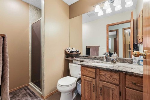 1208 Sunvista Way Se, Calgary, AB - Indoor Photo Showing Bathroom