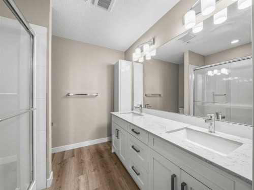 4203-522 Cranford Drive Se, Calgary, AB - Indoor Photo Showing Bathroom